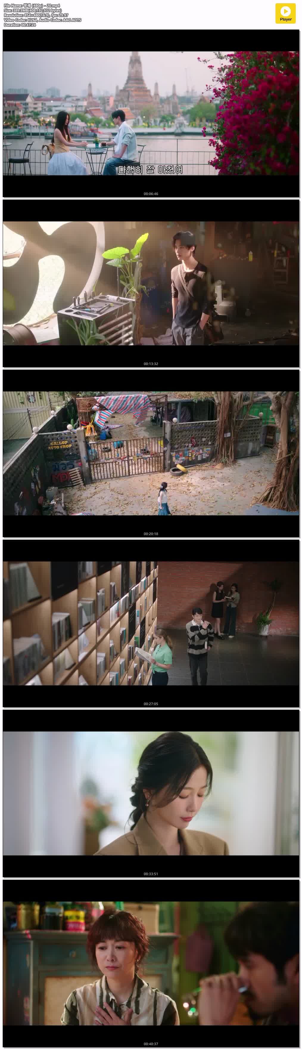 쌍궤 (480p) - 20