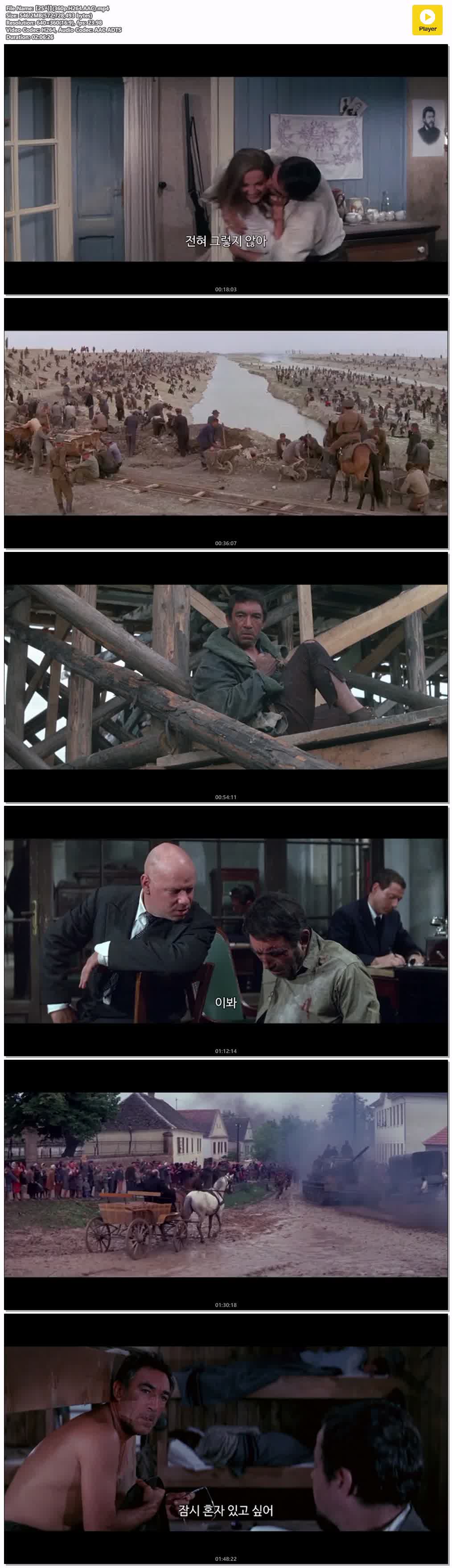 【25시】(360p.H264.AAC)