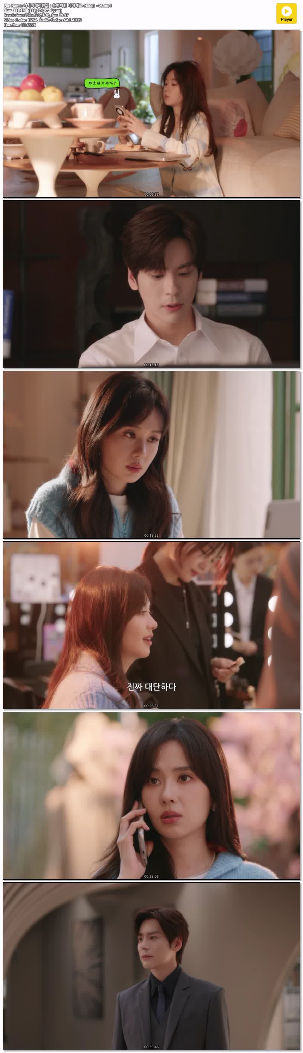 니시지래적환희：운명처럼 너에게로 (480p) - 03