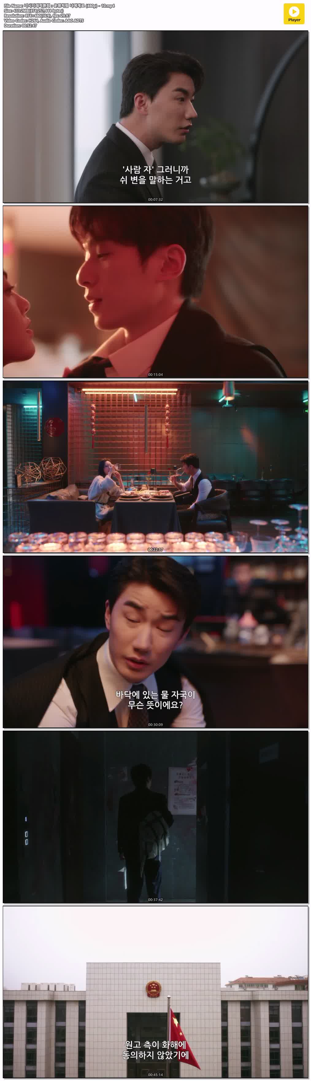 니시지래적환희：운명처럼 너에게로 (480p) - 10