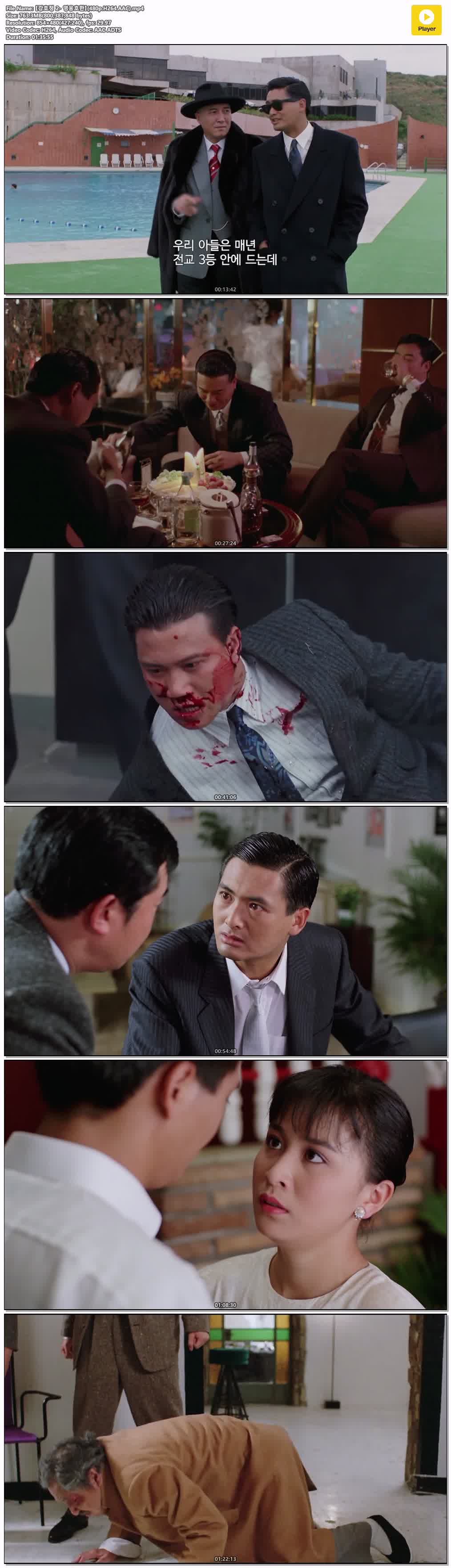 【강호정 2- 영웅호한】(480p.H264.AAC)