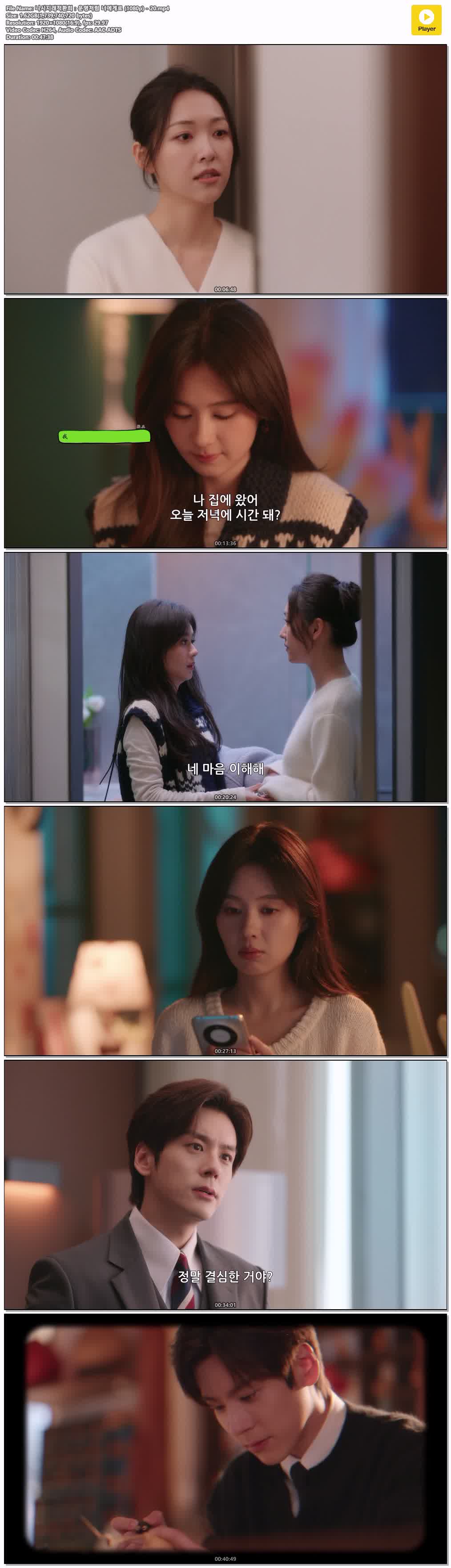 니시지래적환희：운명처럼 너에게로 (1080p) - 20