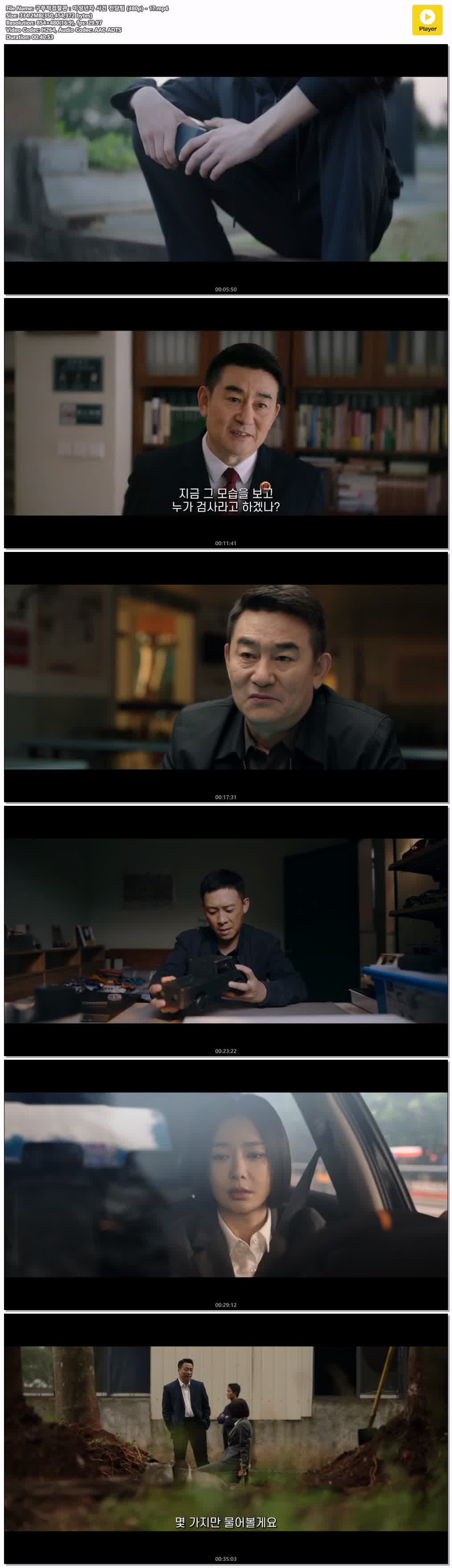 구부적검찰관：미성년자 사건 전담팀 (480p) - 17