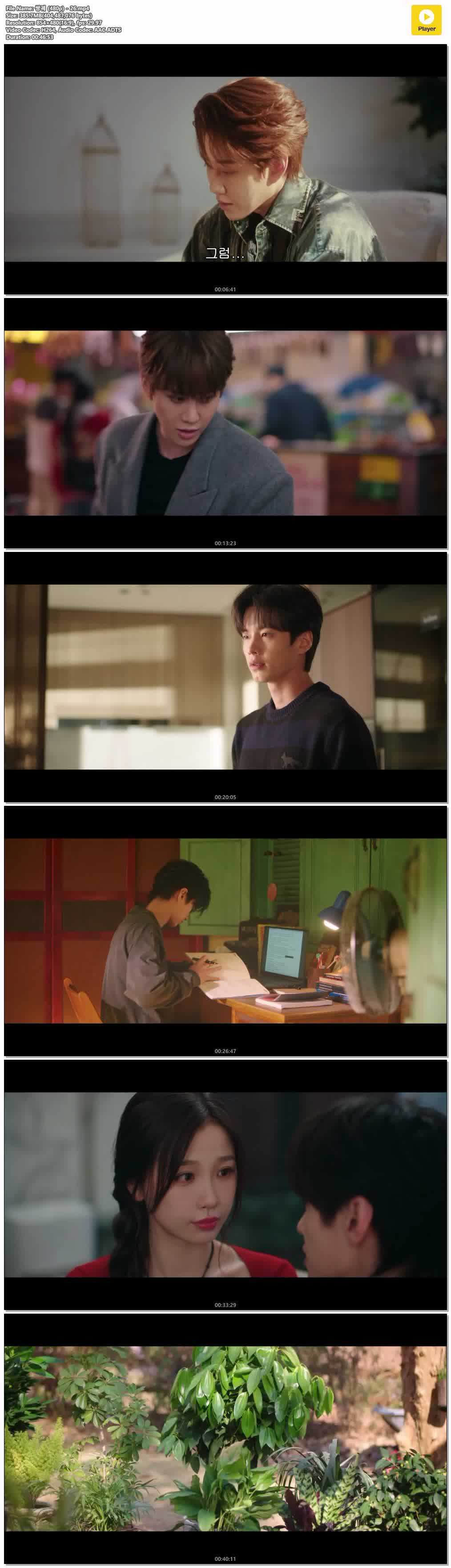쌍궤 (480p) - 26