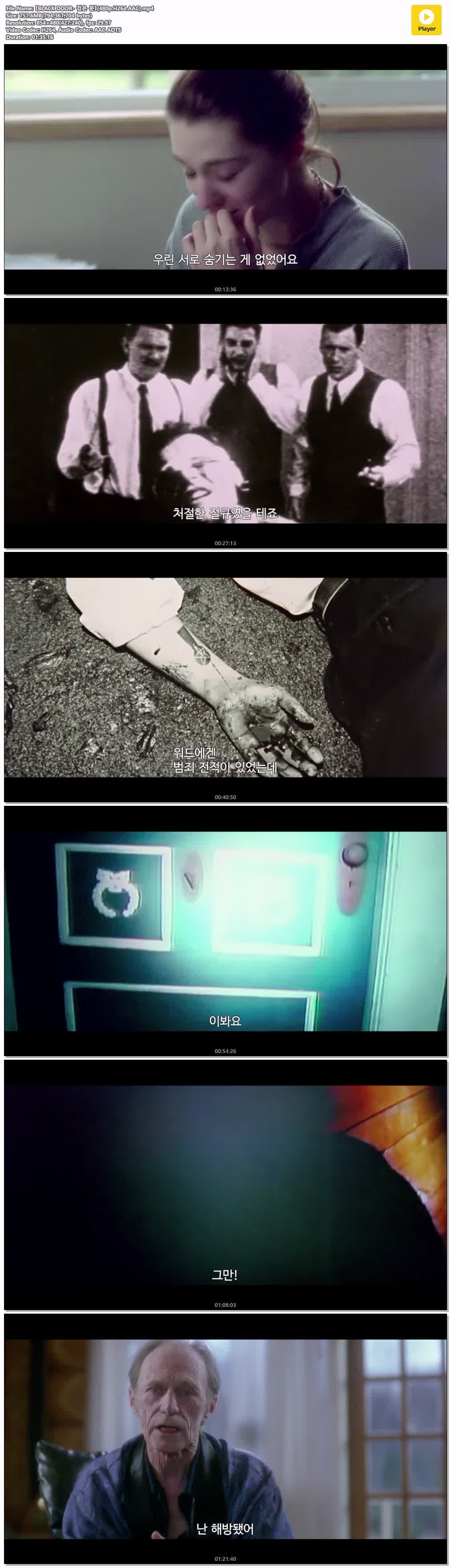 【BLACK DOOR- 검은 문】(480p.H264.AAC)
