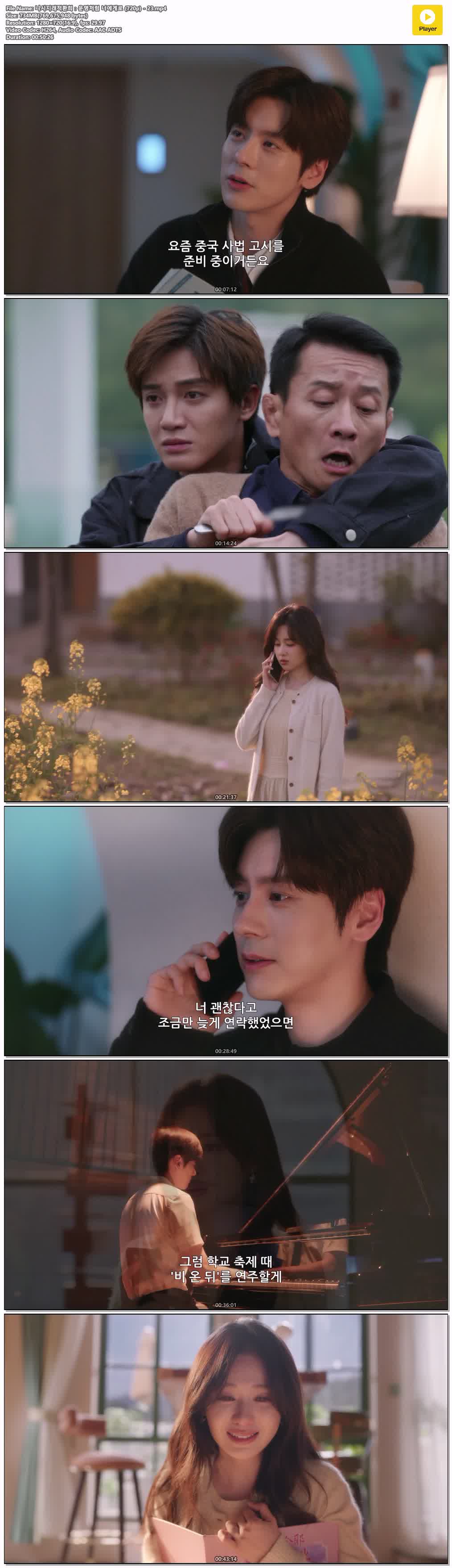 니시지래적환희：운명처럼 너에게로 (720p) - 23