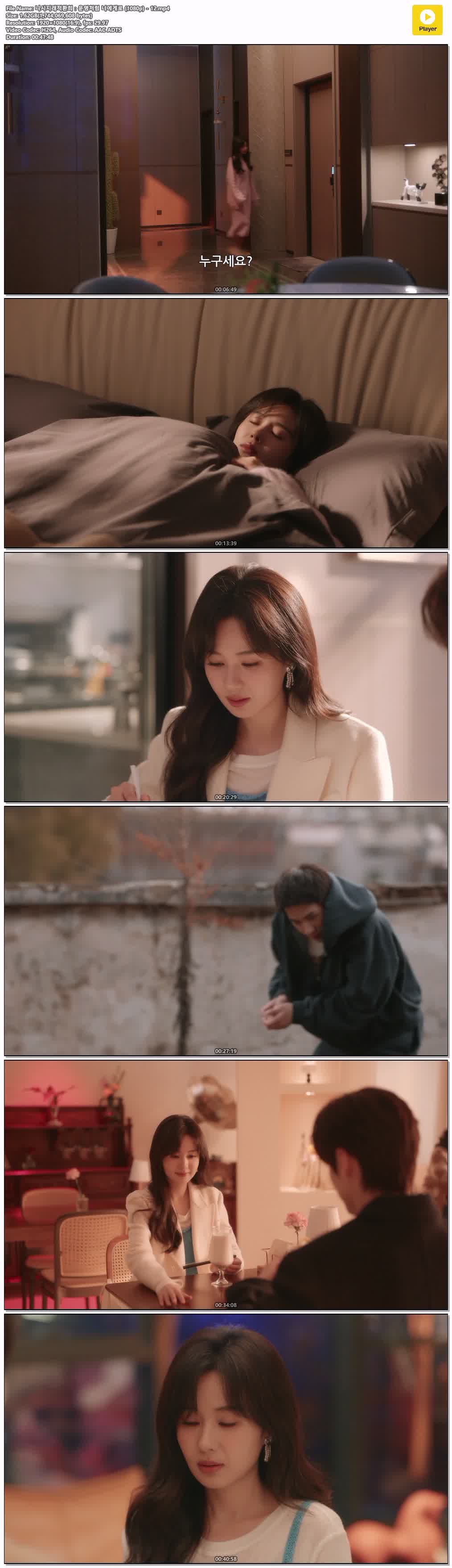 니시지래적환희：운명처럼 너에게로 (1080p) - 12