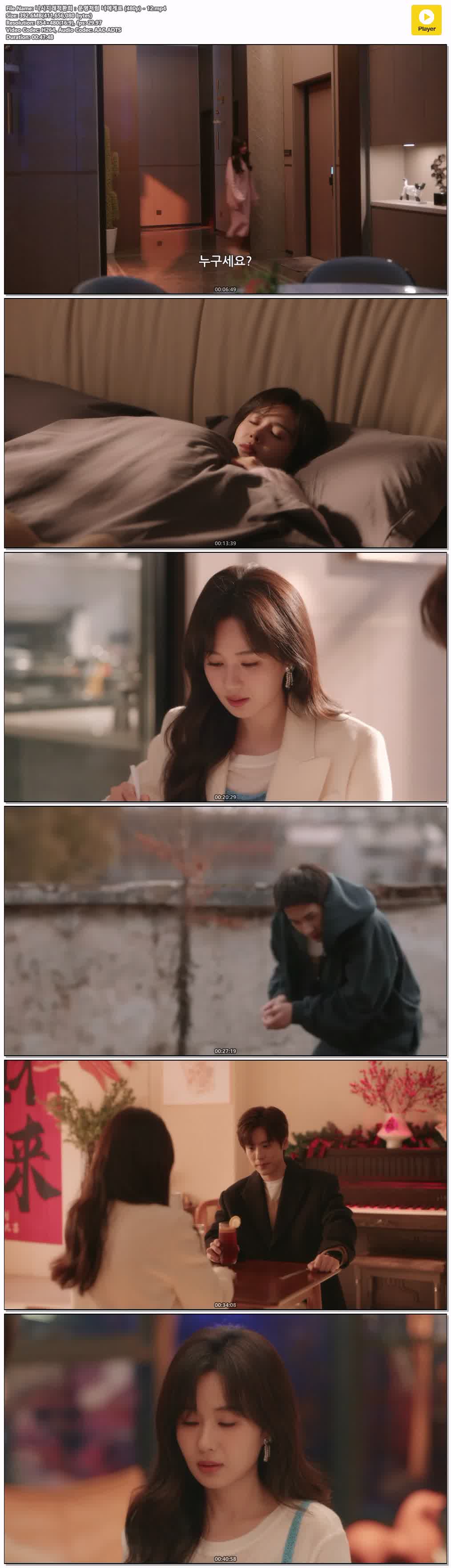 니시지래적환희：운명처럼 너에게로 (480p) - 12