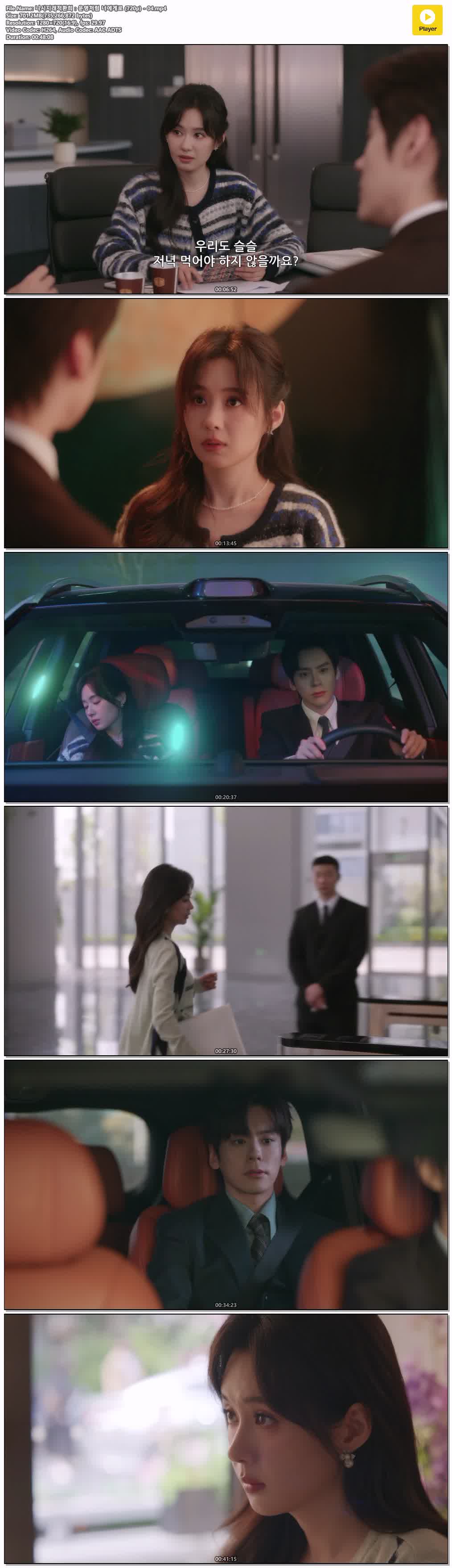 니시지래적환희：운명처럼 너에게로 (720p) - 04