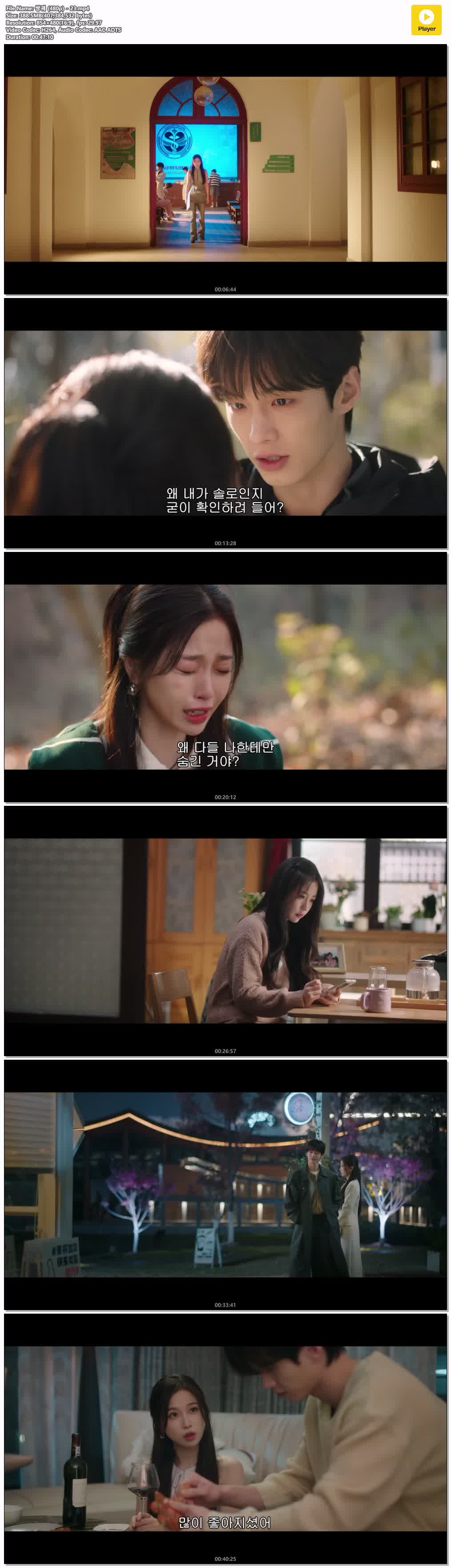 쌍궤 (480p) - 23