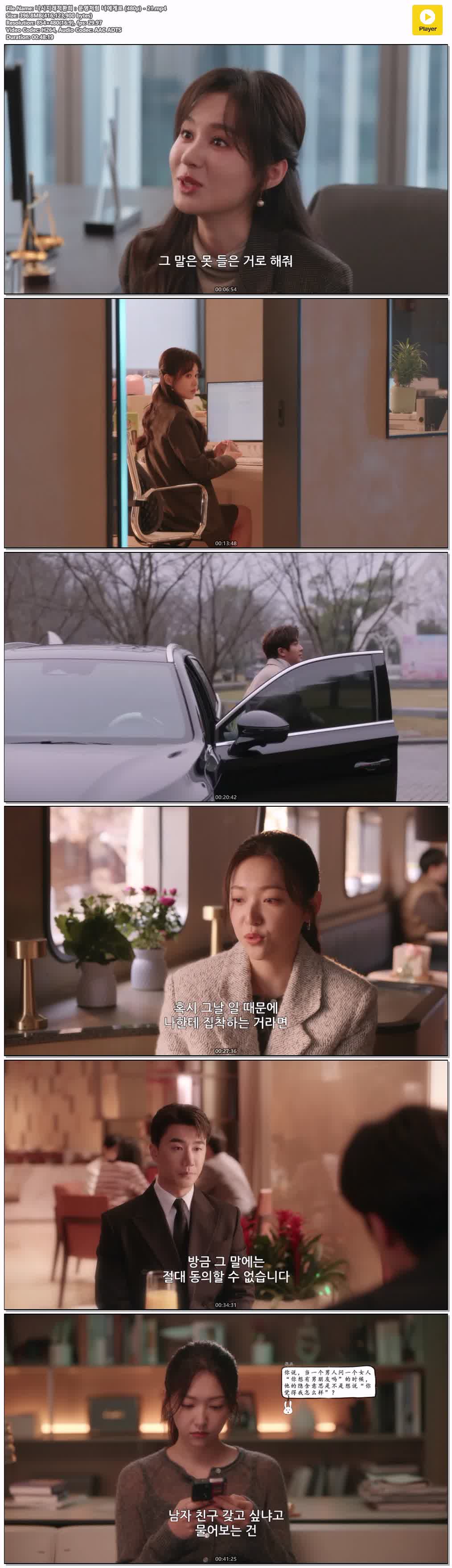 니시지래적환희：운명처럼 너에게로 (480p) - 21