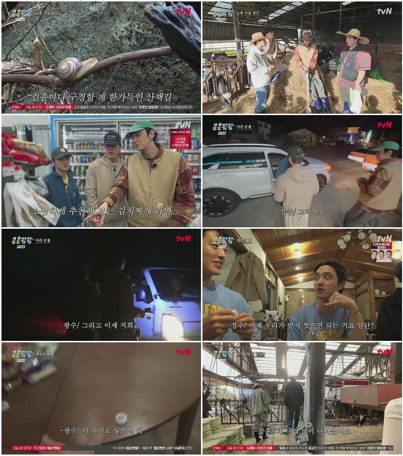 콩콩팜팜.E03.260703.1080p.H265-F1RST