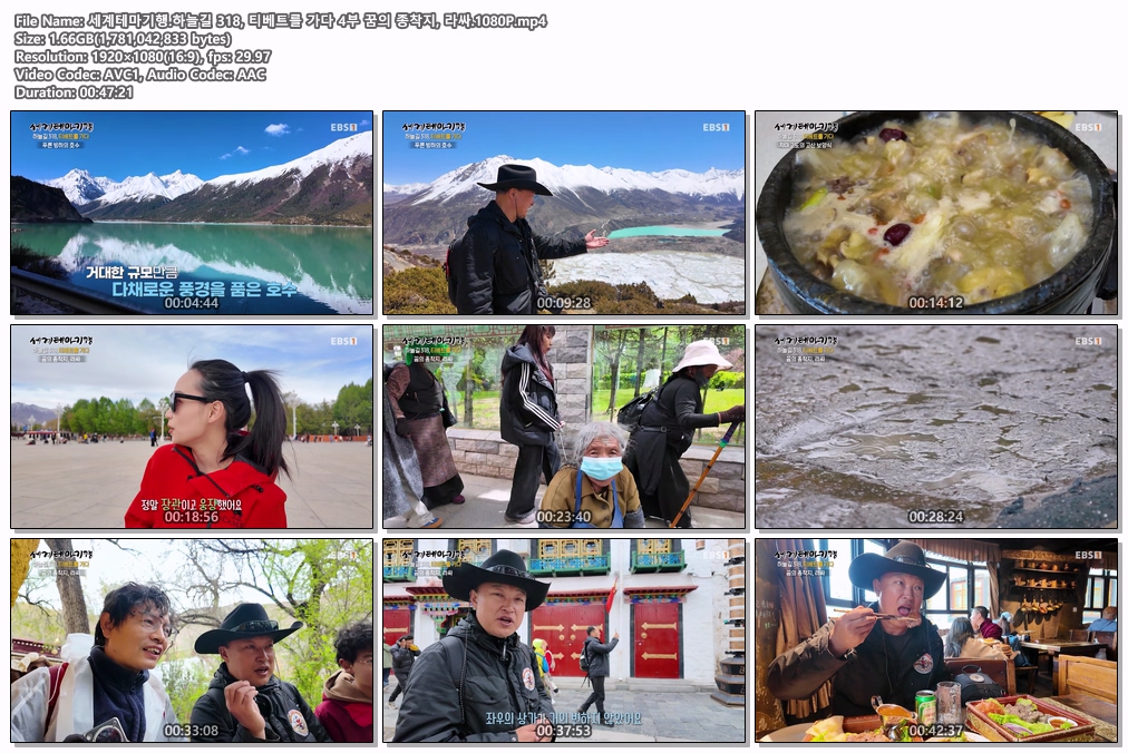 세계테마기행.하늘길 318, 티베트를 가다 4부 꿈의 종착지, 라싸.1080P