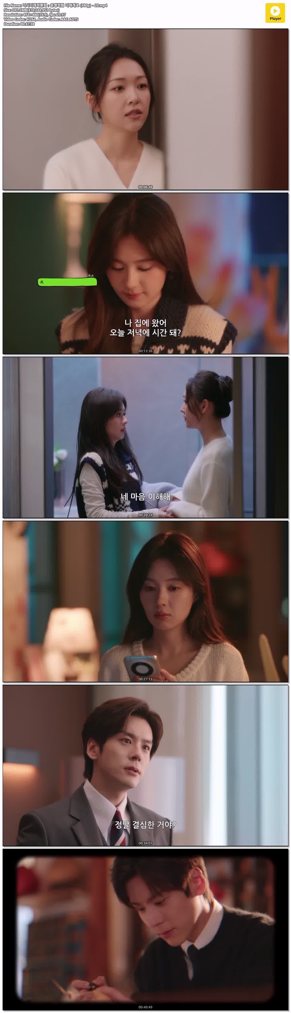 니시지래적환희：운명처럼 너에게로 (480p) - 20