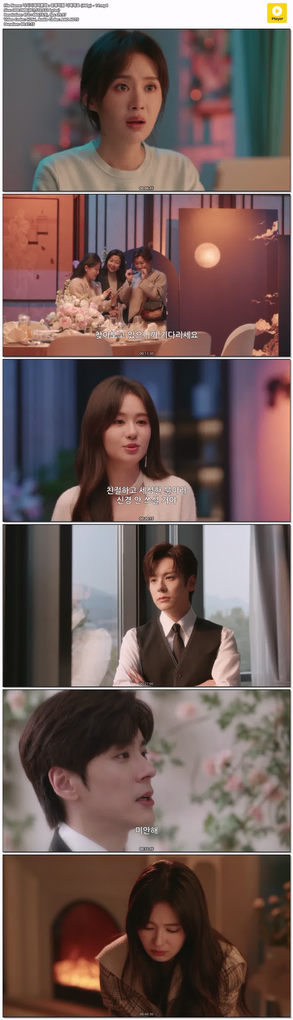 니시지래적환희：운명처럼 너에게로 (480p) - 14