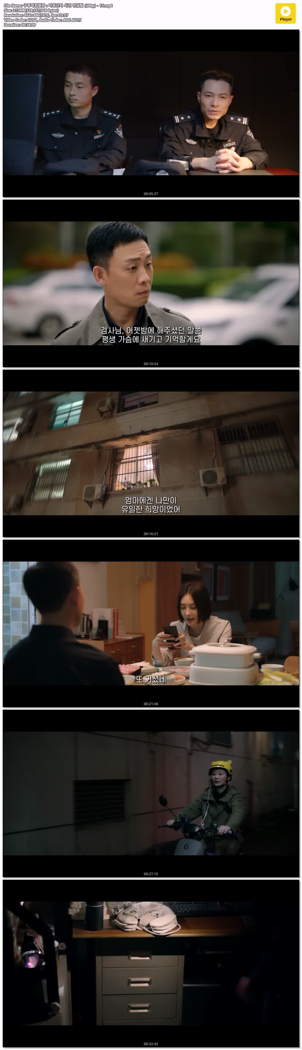 구부적검찰관：미성년자 사건 전담팀 (480p) - 15
