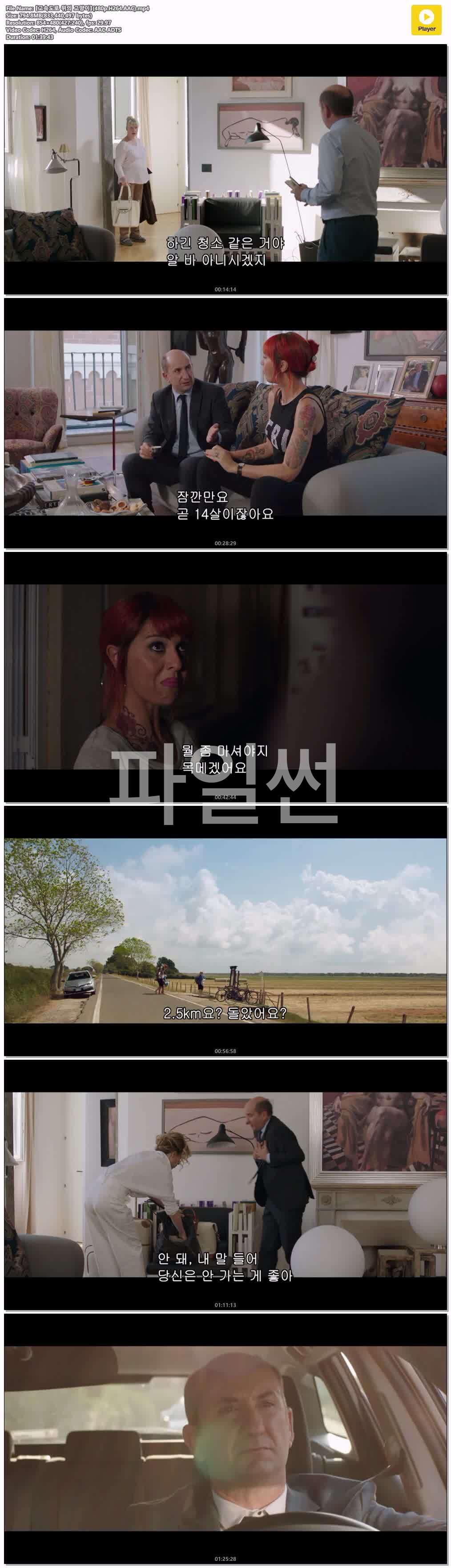 【고속도로 위의 고양이】(480p.H264.AAC)