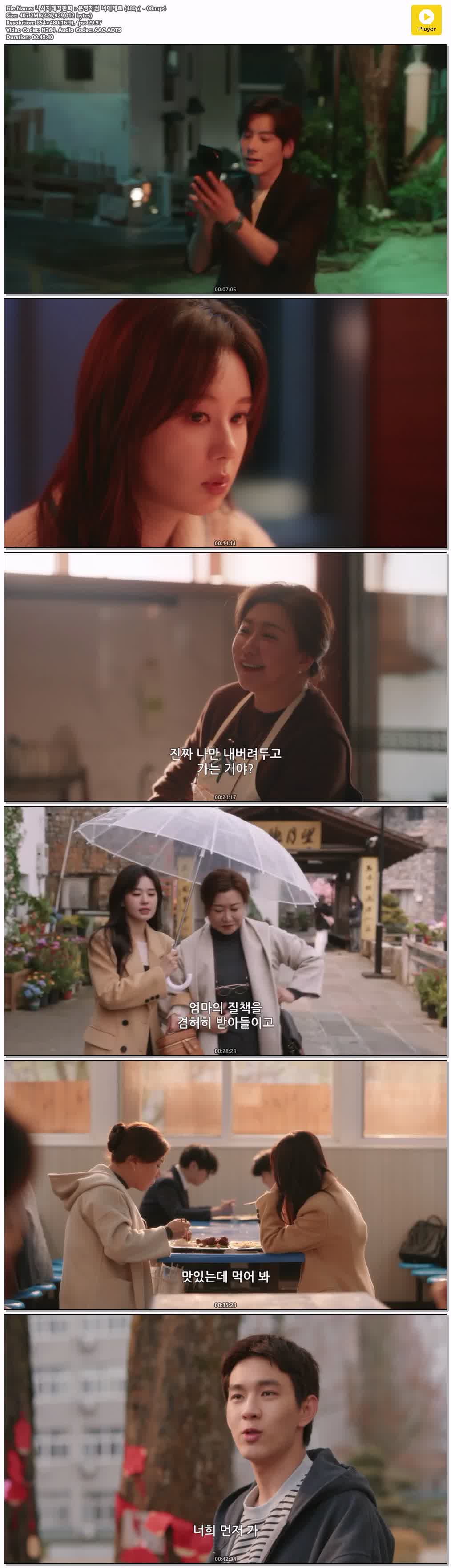 니시지래적환희：운명처럼 너에게로 (480p) - 08