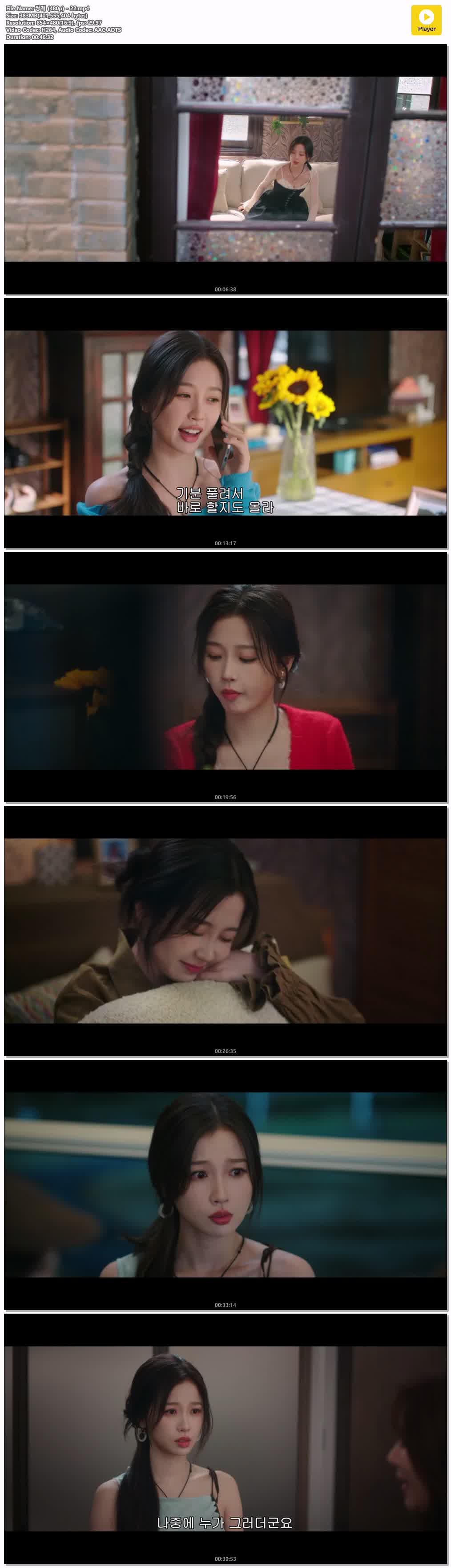 쌍궤 (480p) - 22
