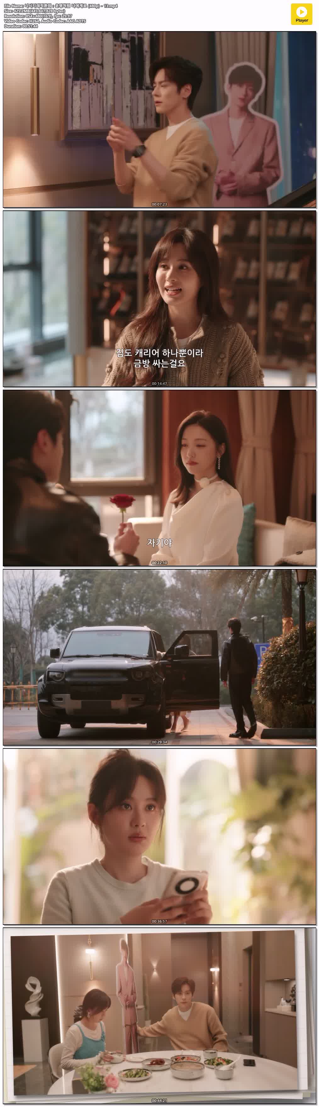 니시지래적환희：운명처럼 너에게로 (480p) - 13