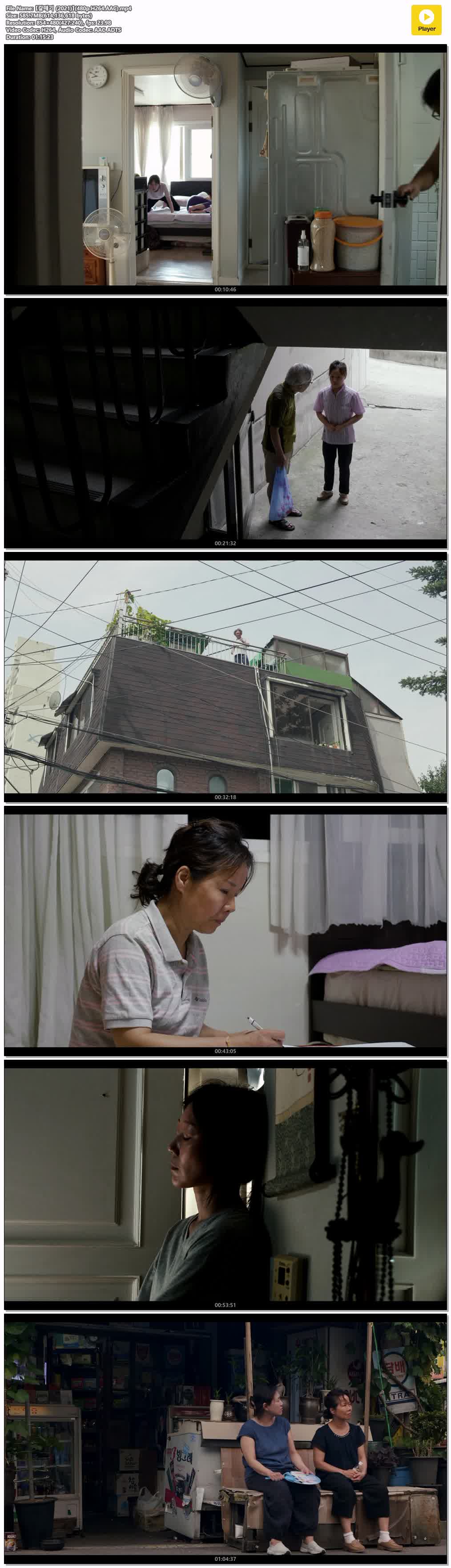 【갈매기 (2021)】(480p.H264.AAC)
