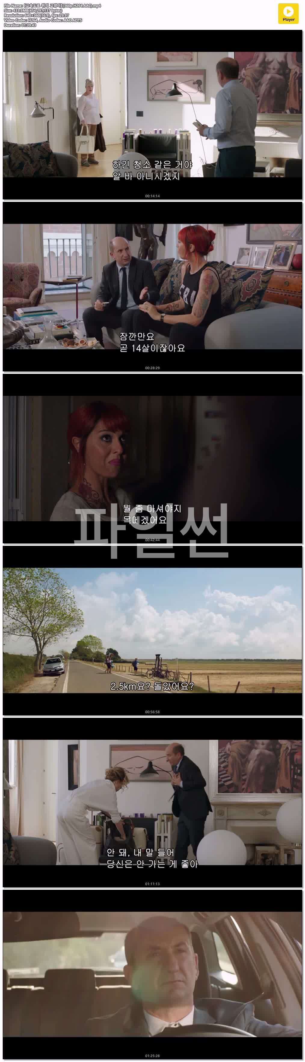 【고속도로 위의 고양이】(360p.H264.AAC)
