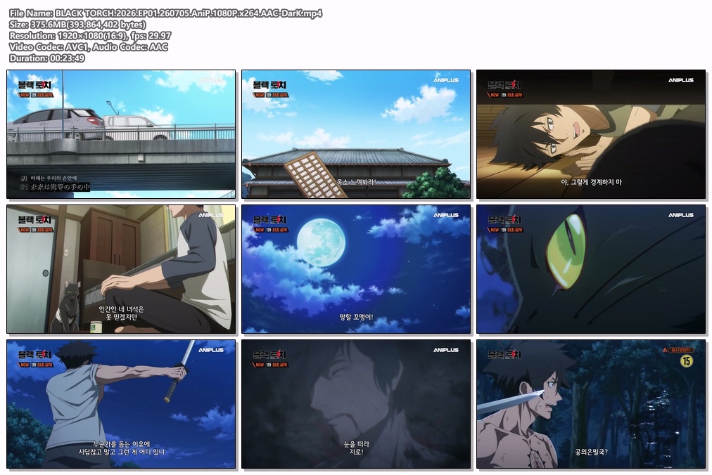 BLACK TORCH.2026.EP01.260705.AniP.1080P.x264.AAC-DarK