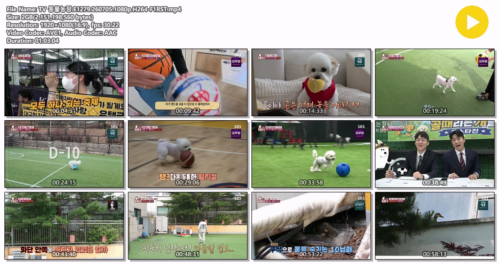 TV 동물농장.E1279.260705.1080p.H264-F1RST