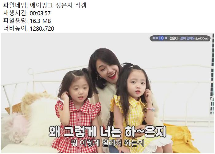 에이핑크 정은지 직캠