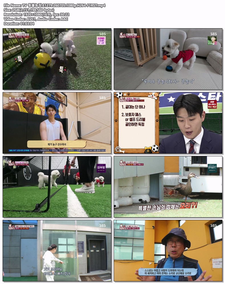 TV 동물농장.E1279.260705.1080p.H264-F1RST