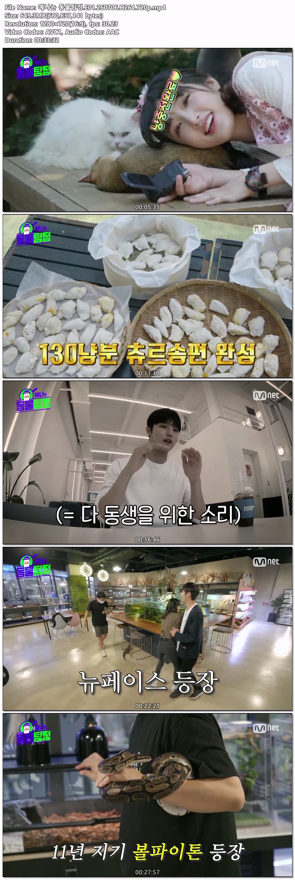 예나는 동물탐정.E01.260706.H264.720p