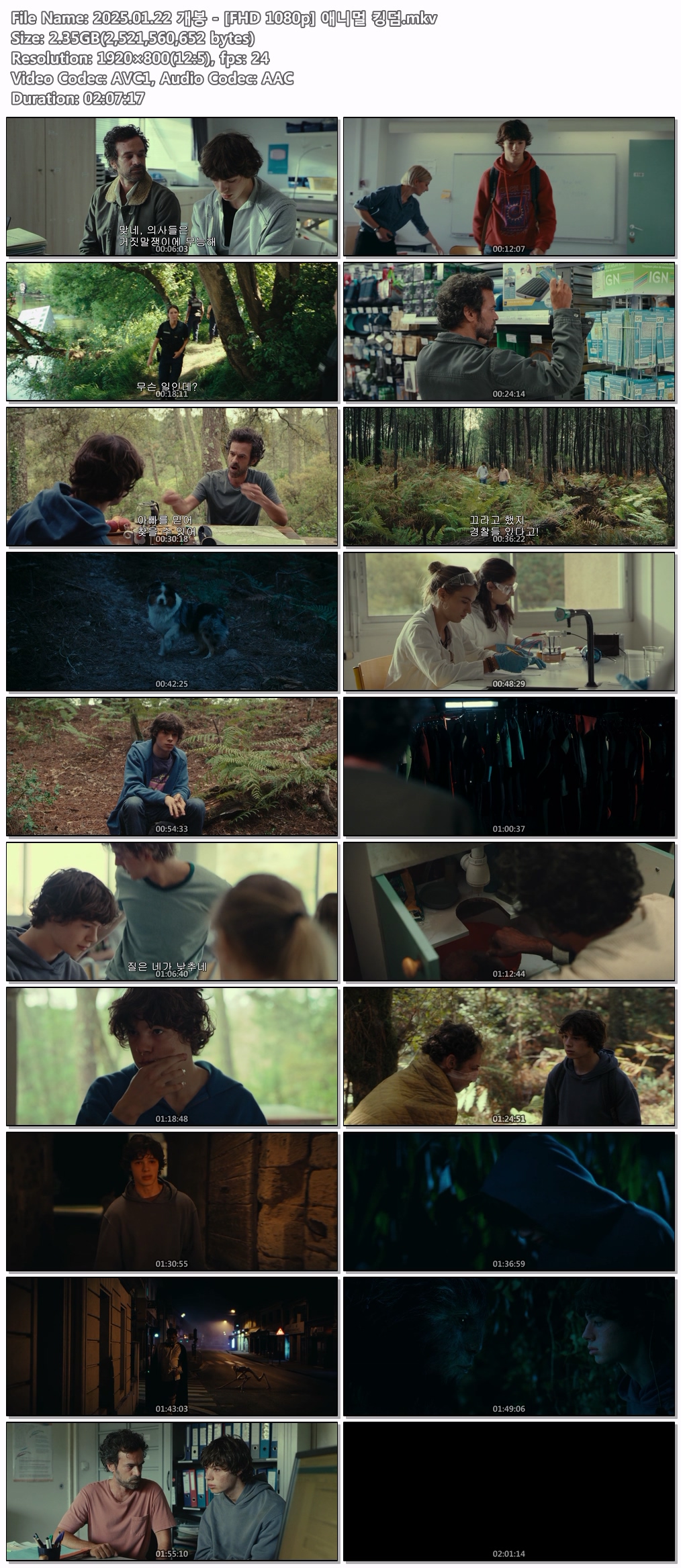 2025.01.22 개봉 - [FHD 1080p] 애니멀 킹덤
