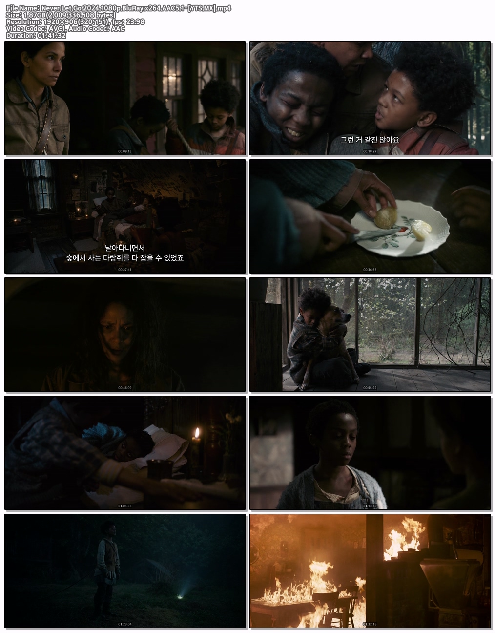 Never Let Go (2024) [1080p] [BluRay] [5.1]