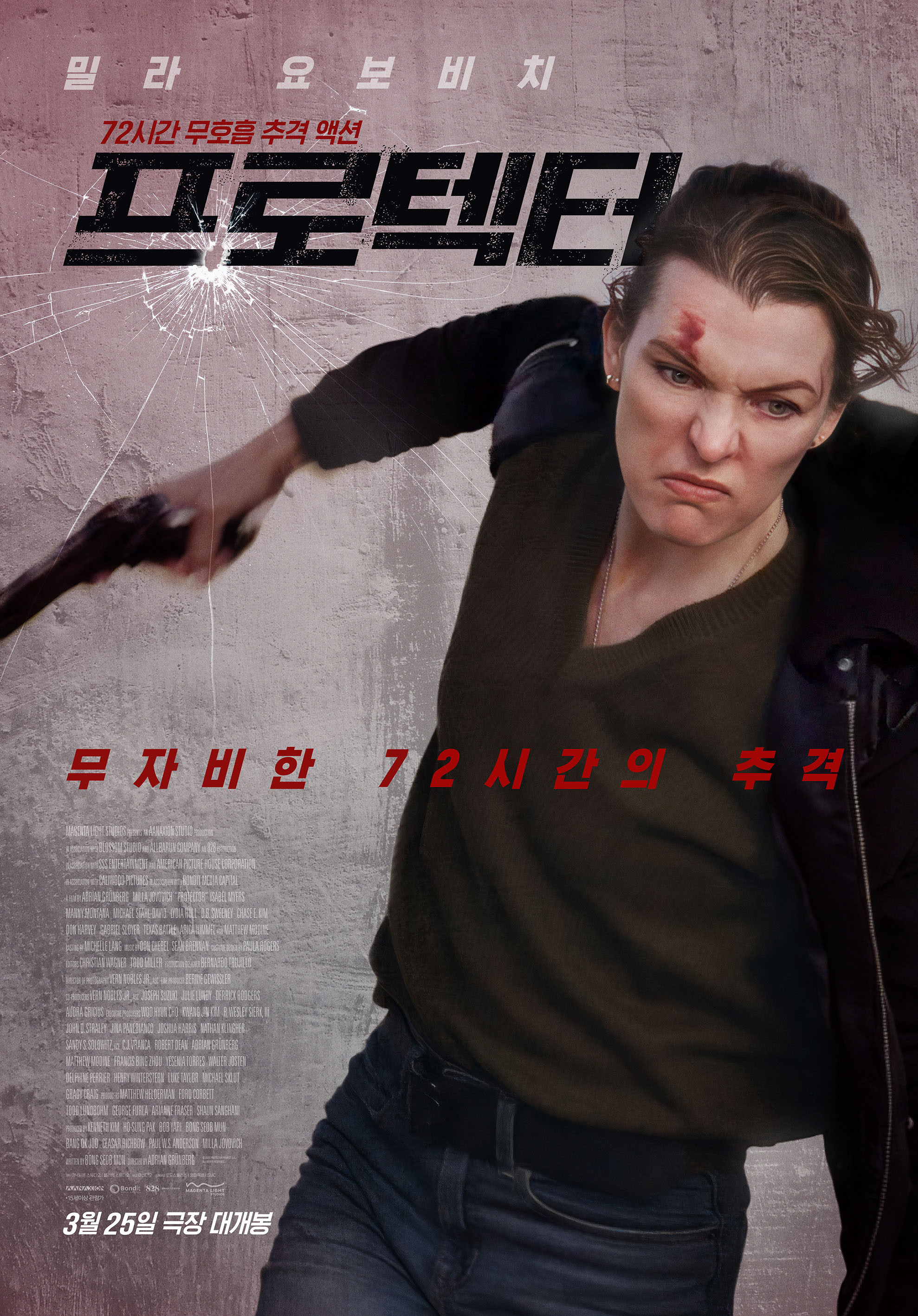 프로텍터 (2026) 무자비한 72시간의 추격