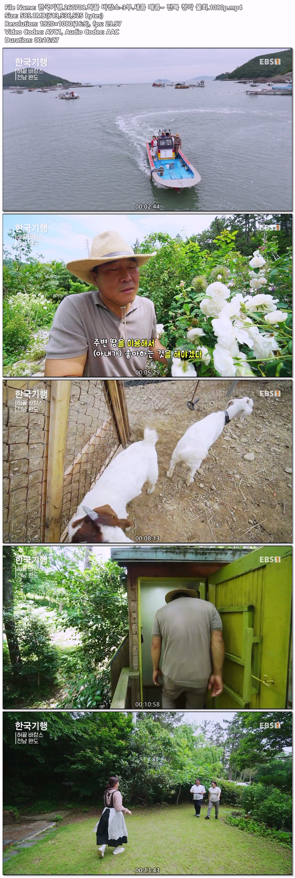 한국기행.260708.혀끝 바캉스-3부.새콤 매콤~ 전복 청각 물회.1080p