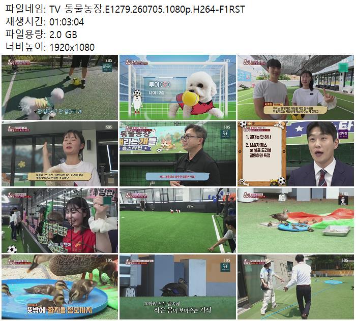TV 동물농장.E1279.260705.1080p.H264-F1RST
