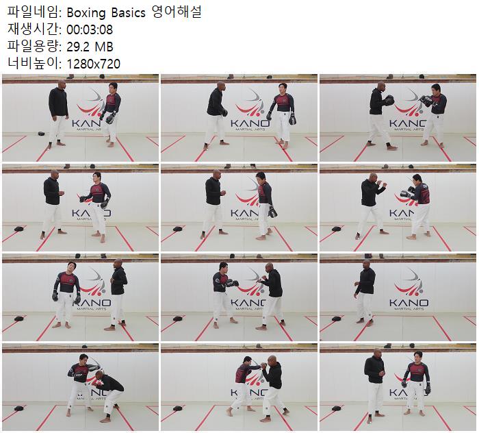 Boxing Basics 영어해설