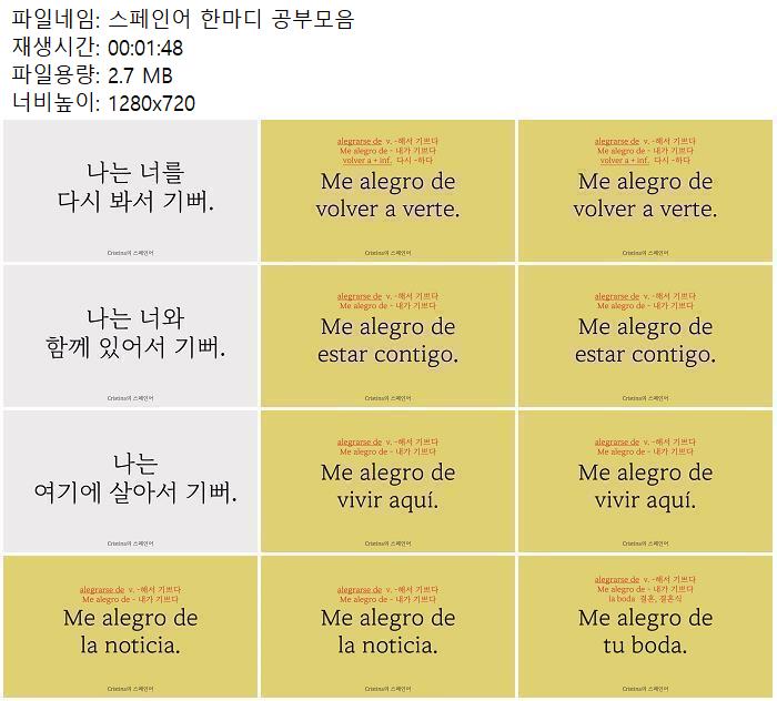스페인어 한마디 공부모음