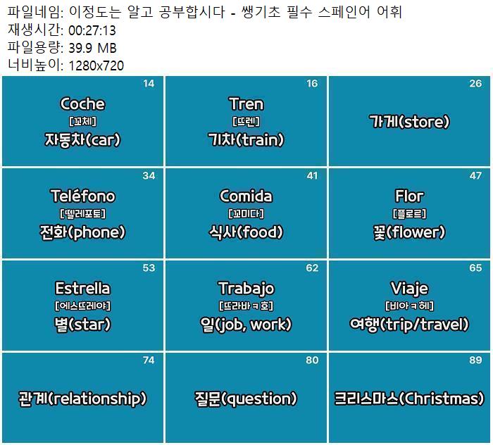 이정도는 알고 공부합시다 - 쌩기초 필수 스페인어 어휘