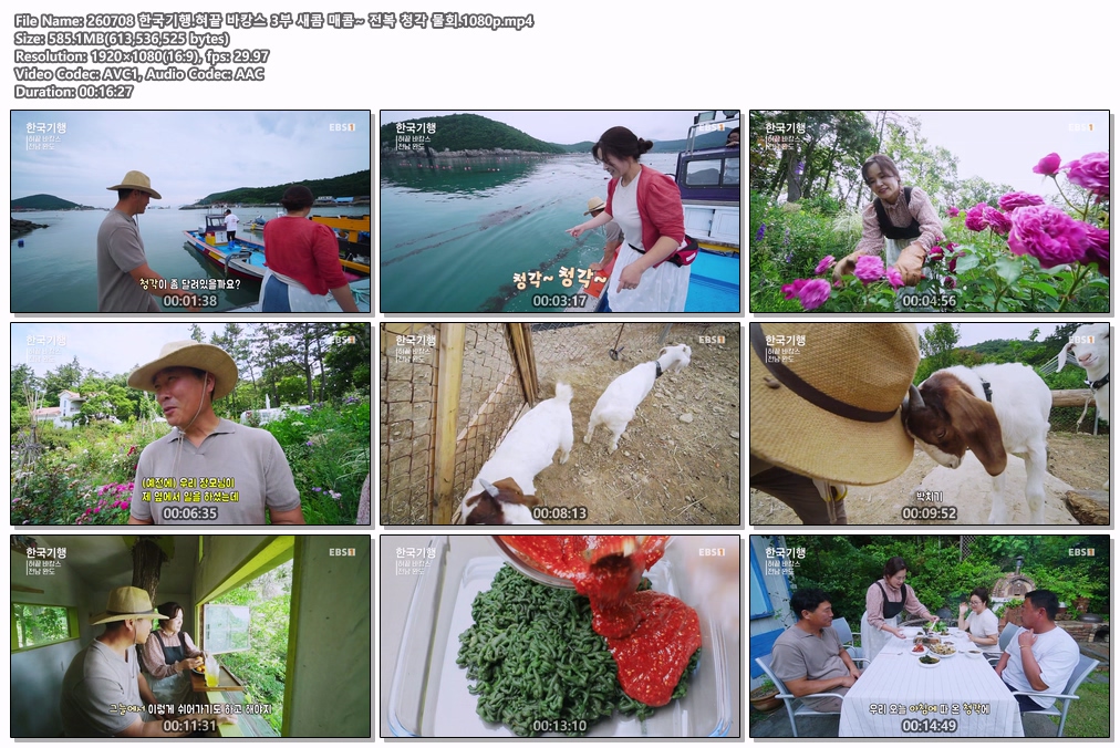 260708 한국기행.혀끝 바캉스 3부 새콤 매콤~ 전복 청각 물회.1080p
