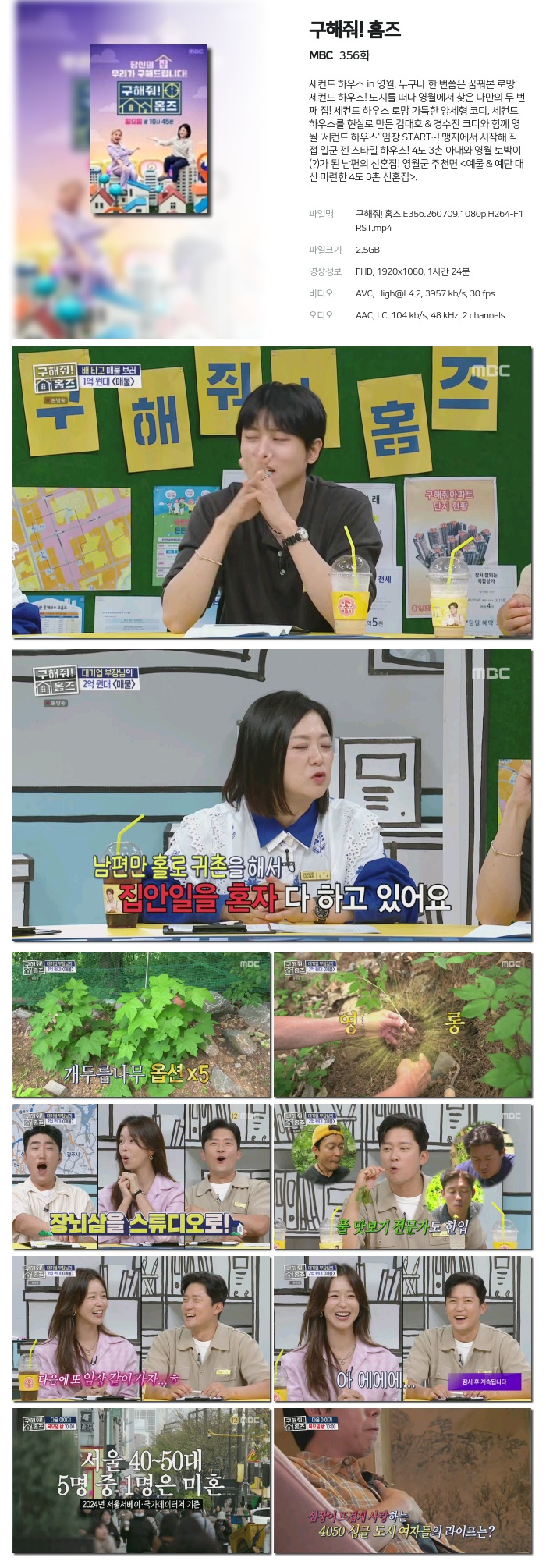 구해줘! 홈즈.E356.260709.1080p.H264-F1RST