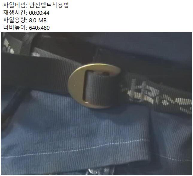 안전벨트착용법