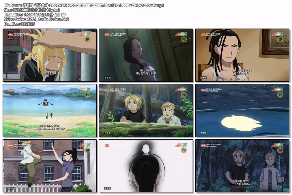 강철의 연금술사 BROTHERHOOD.2019.EP12.260710.AniBX.1080P.x264.AAC-DarK