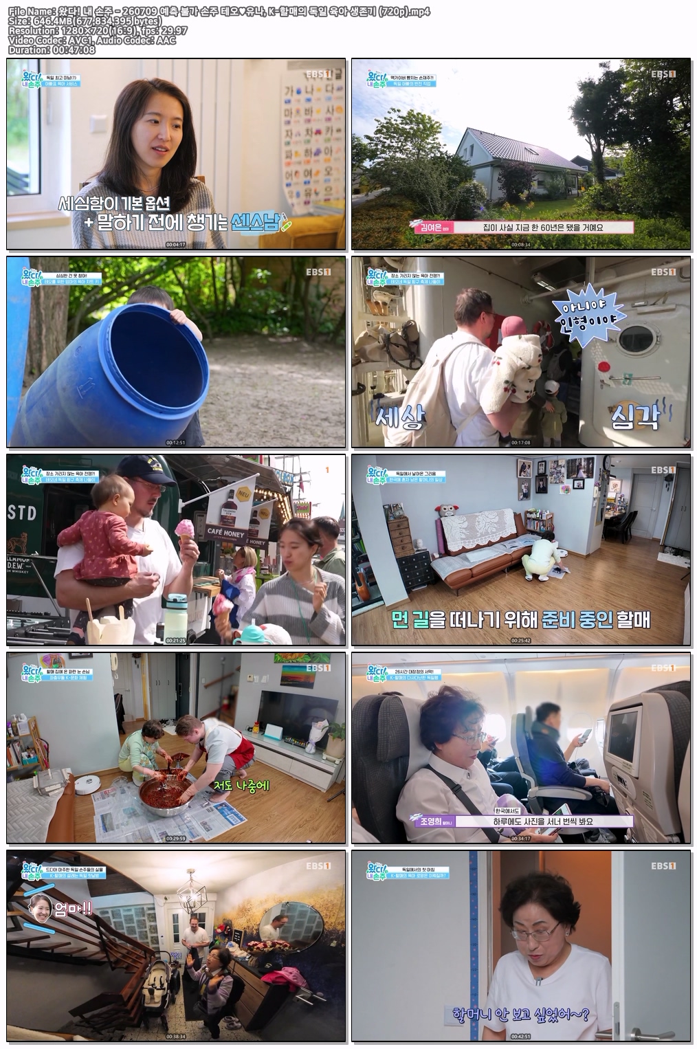 왔다! 내 손주 - 260709 예측 불가 손주 테오♥유나, K-할매의 독일 육아 생존기 (720p)