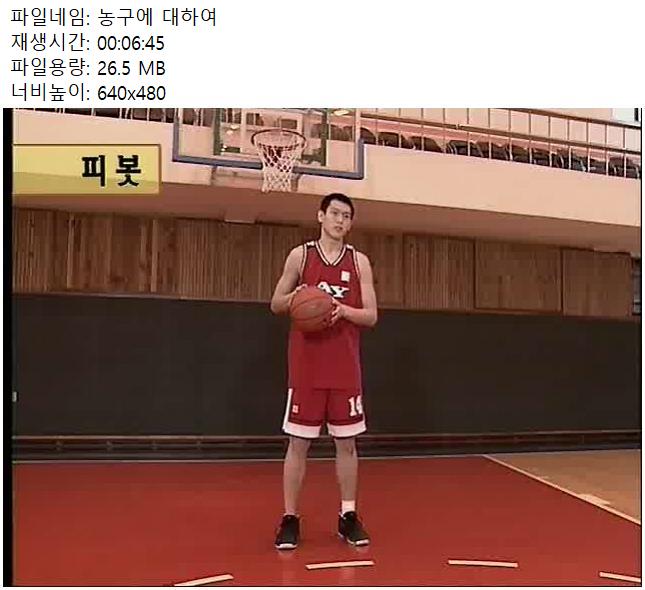 농구에 대하여