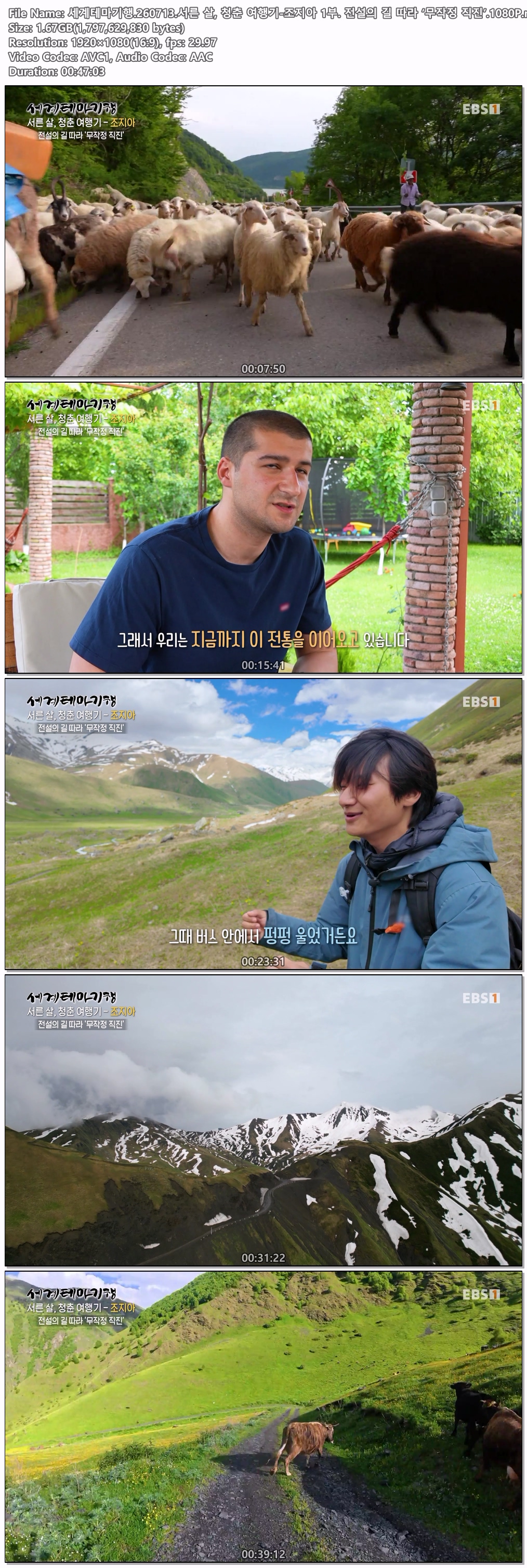 세계테마기행.260713.서른 살, 청춘 여행기-조지아 1부. 전설의 길 따라 ‘무작정 직진’.1080P