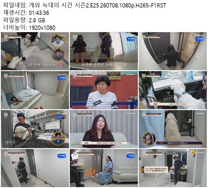 개와 늑대의 시간 시즌2.E25.260708.1080p.H265-F1RST
