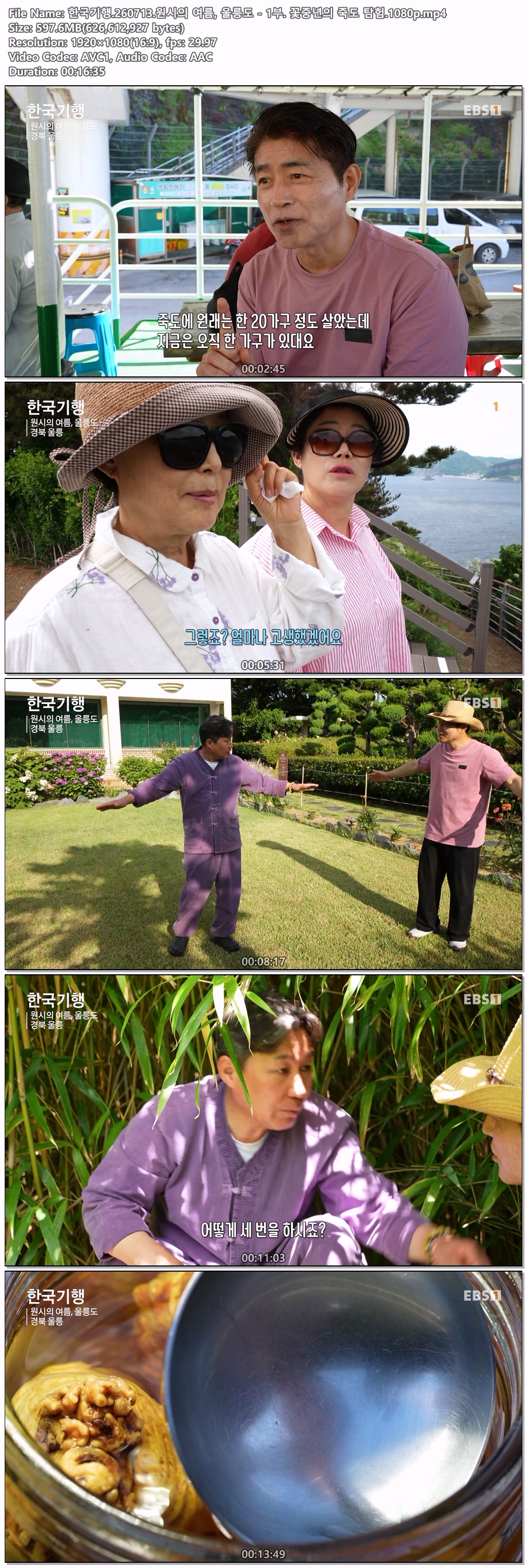 한국기행.260713.원시의 여름, 울릉도 - 1부. 꽃중년의 죽도 탐험.1080p