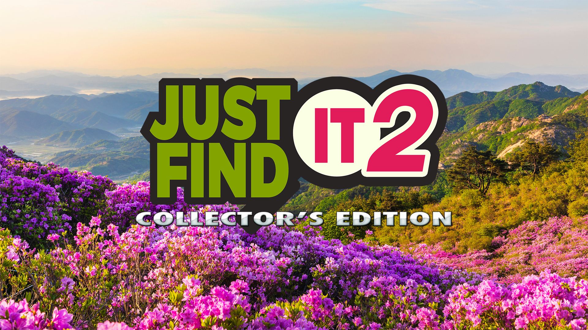 [NSW] 저스트 파인드 잇 2 컬렉터즈 에디션 (Just Find It 2 Collector's Edition)