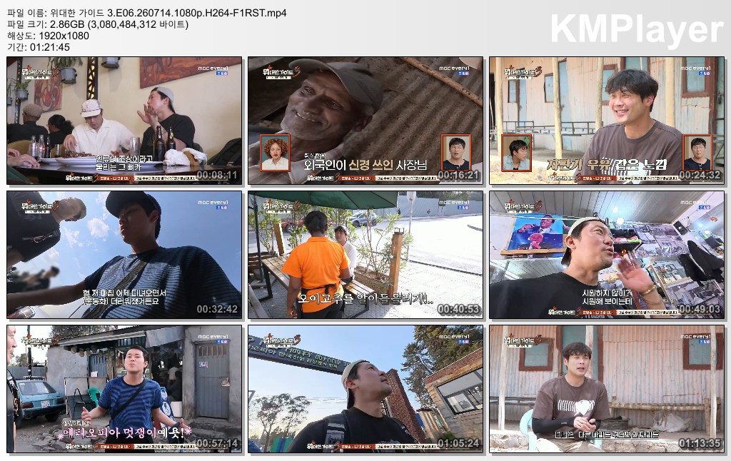 위대한 가이드 3.E06.260714.1080p.H264-F1RST